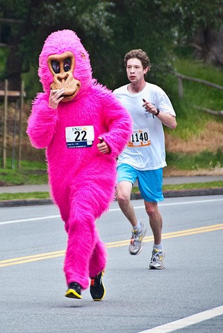 401px-2010_05_16_Bay_2_Breakers_pink_gorilla